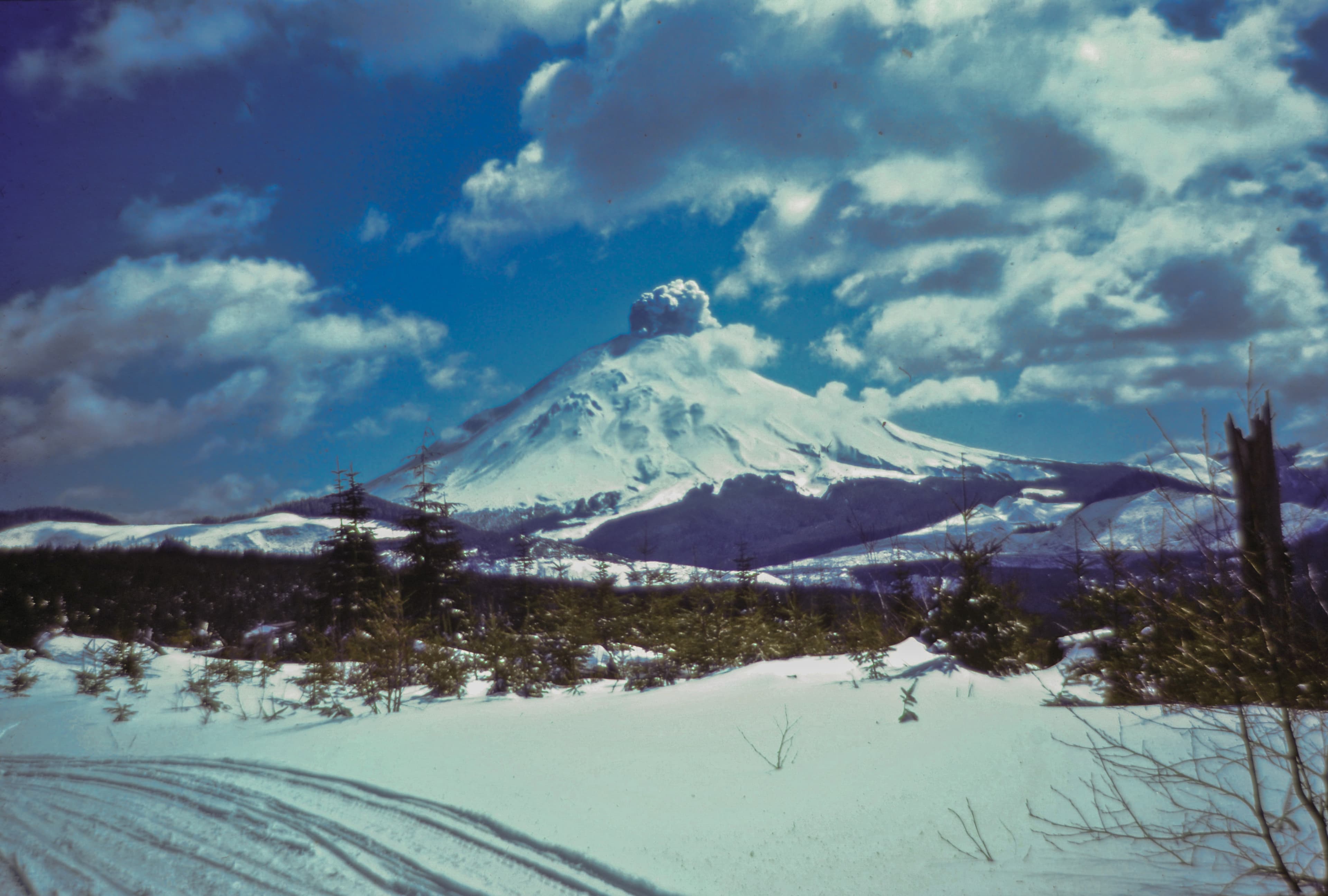 April 1980  Phreatic eruption of Mount St. Helens from Weyerhaeuser road on ridge between South and North Fork Toutle Rivers